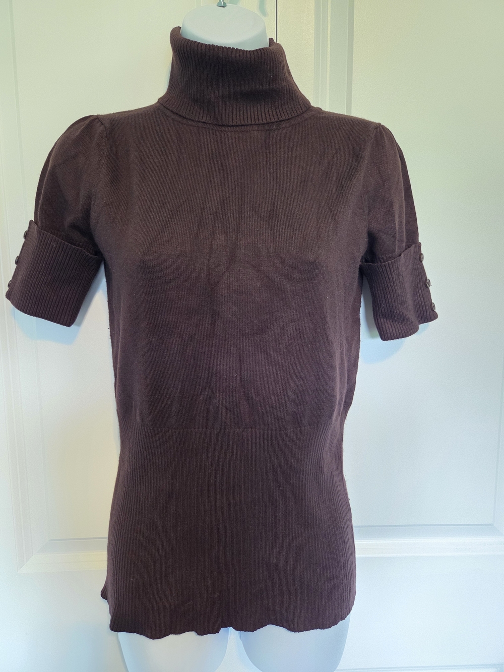 Body Central Brown Short-Sleeve Turtleneck Sweater